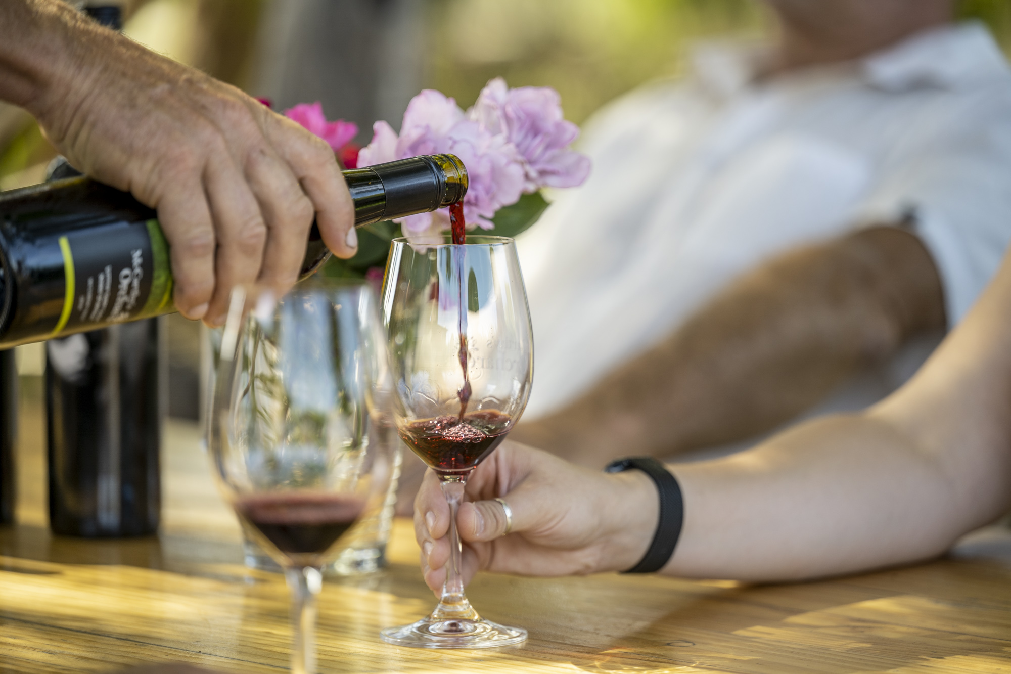 Sip, Savour, and Discover: McLaren Vale's Sustainable Wine Journey - private tour