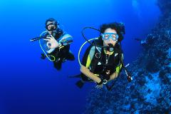 Scuba Diving from Marmaris and Icmeler