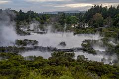 Whaka Combo (Whaka Geothermal Trails + Whakarewarewa - The Living Maori Village)