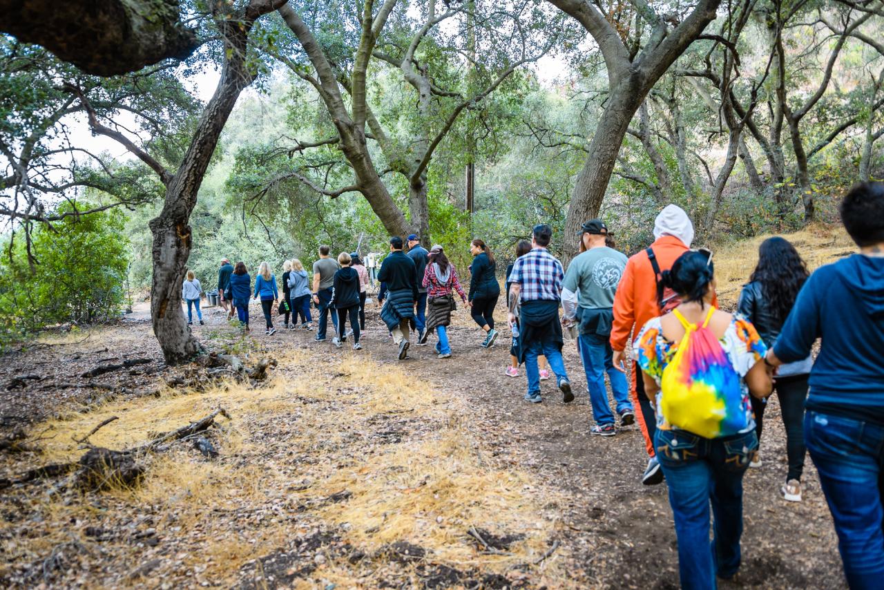 OPEN GIRAFFE HIKE
