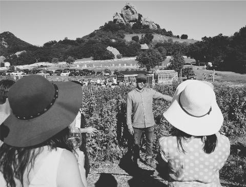 HIKE & HARVEST