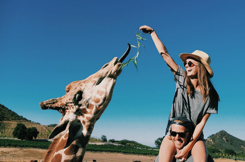 PRIVATE GIRAFFE HIKE