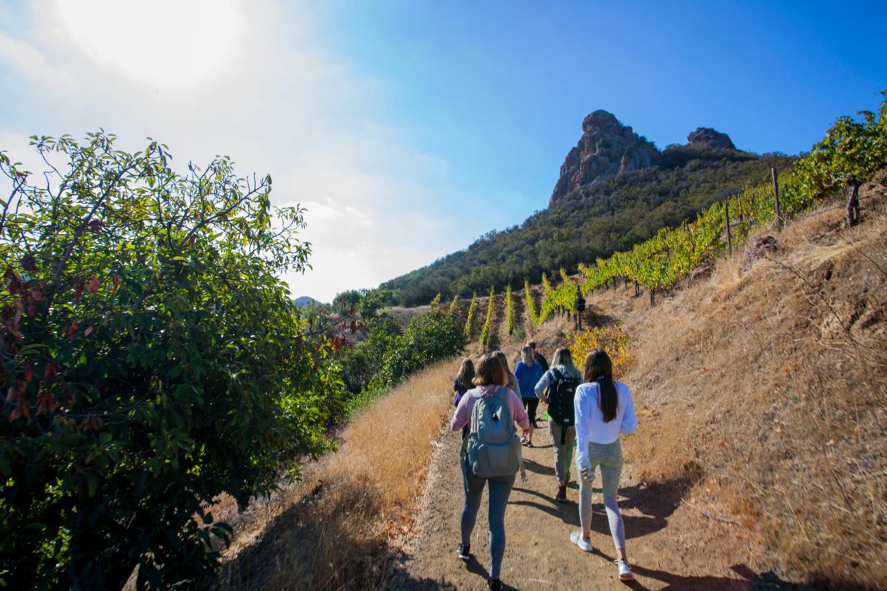 malibu wine tour hike