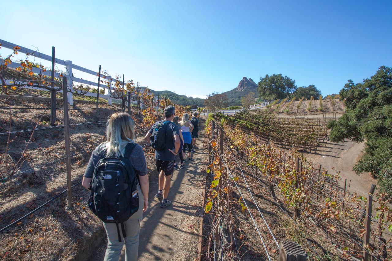 PRIVATE GIRAFFE HIKE