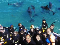 Spectator (meet the boat in Rockingham)