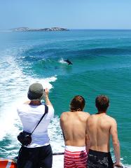 Spectator (including Return Transfers from Central Perth)