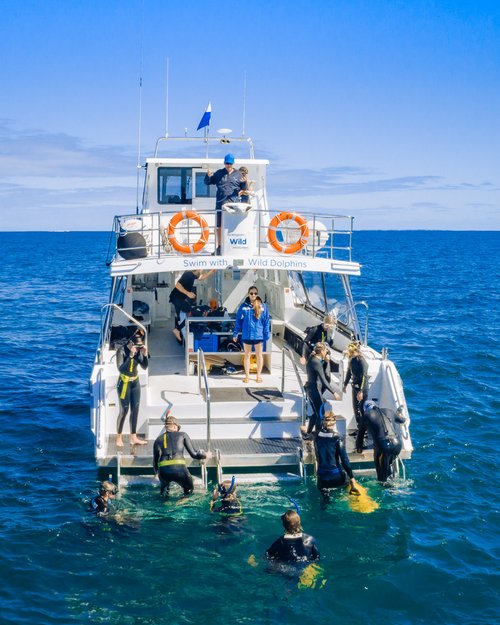 Spectator (meet the boat in Rockingham)