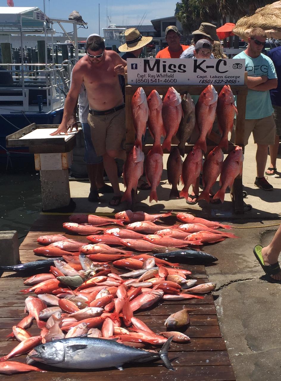10 Hour Bottom Fishing | Miss K-C