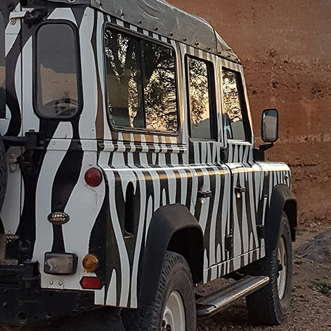 Arbez Zebra Jeep Safari Sunset