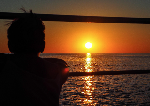 Roebuck Bay Sunset & Snubfin Dolphin Cruise