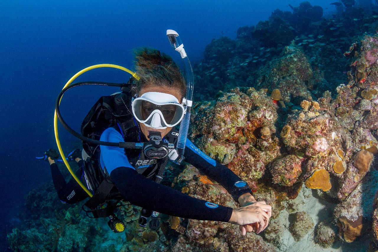 PADI Divemaster Course