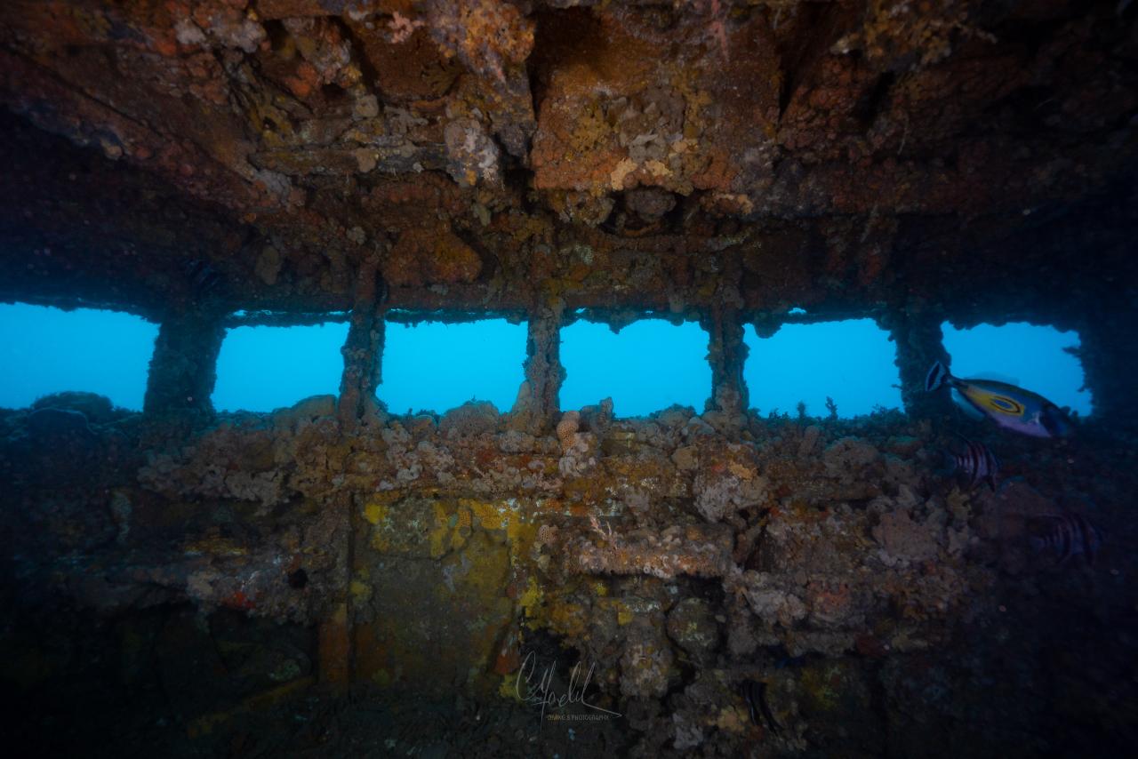 PADI Wreck Diver