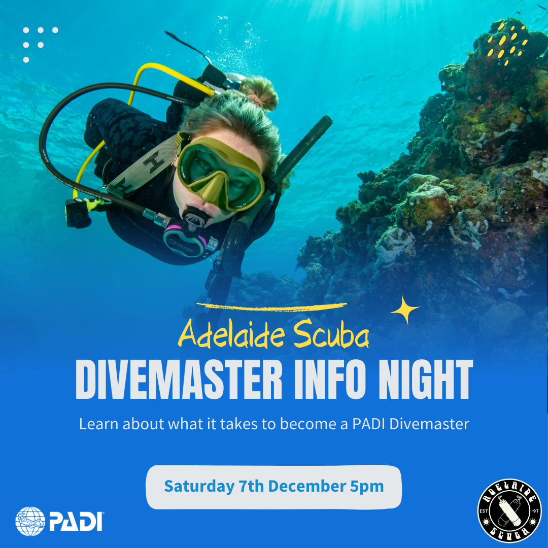 PADI Divemaster Info Night