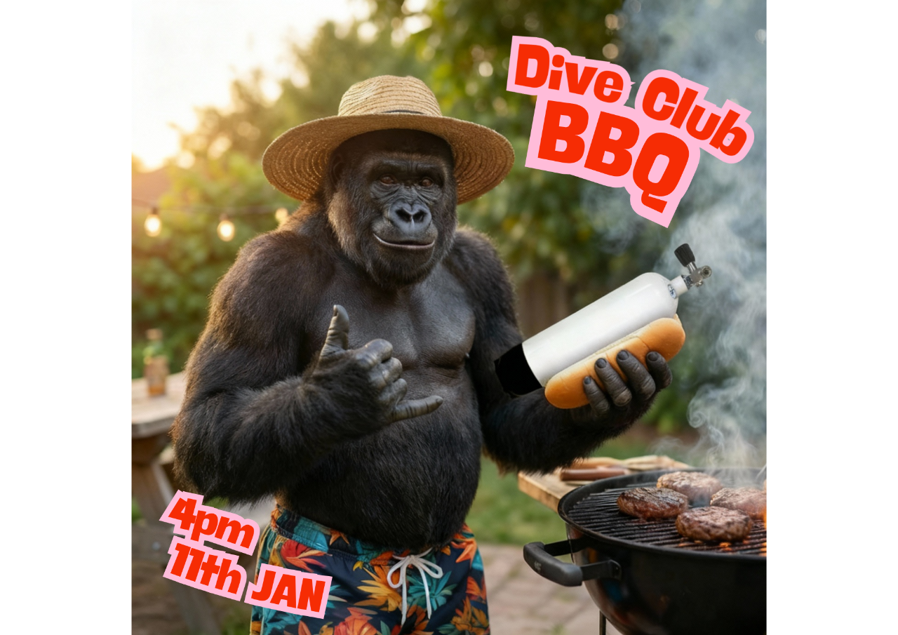 Dive Club BBQ