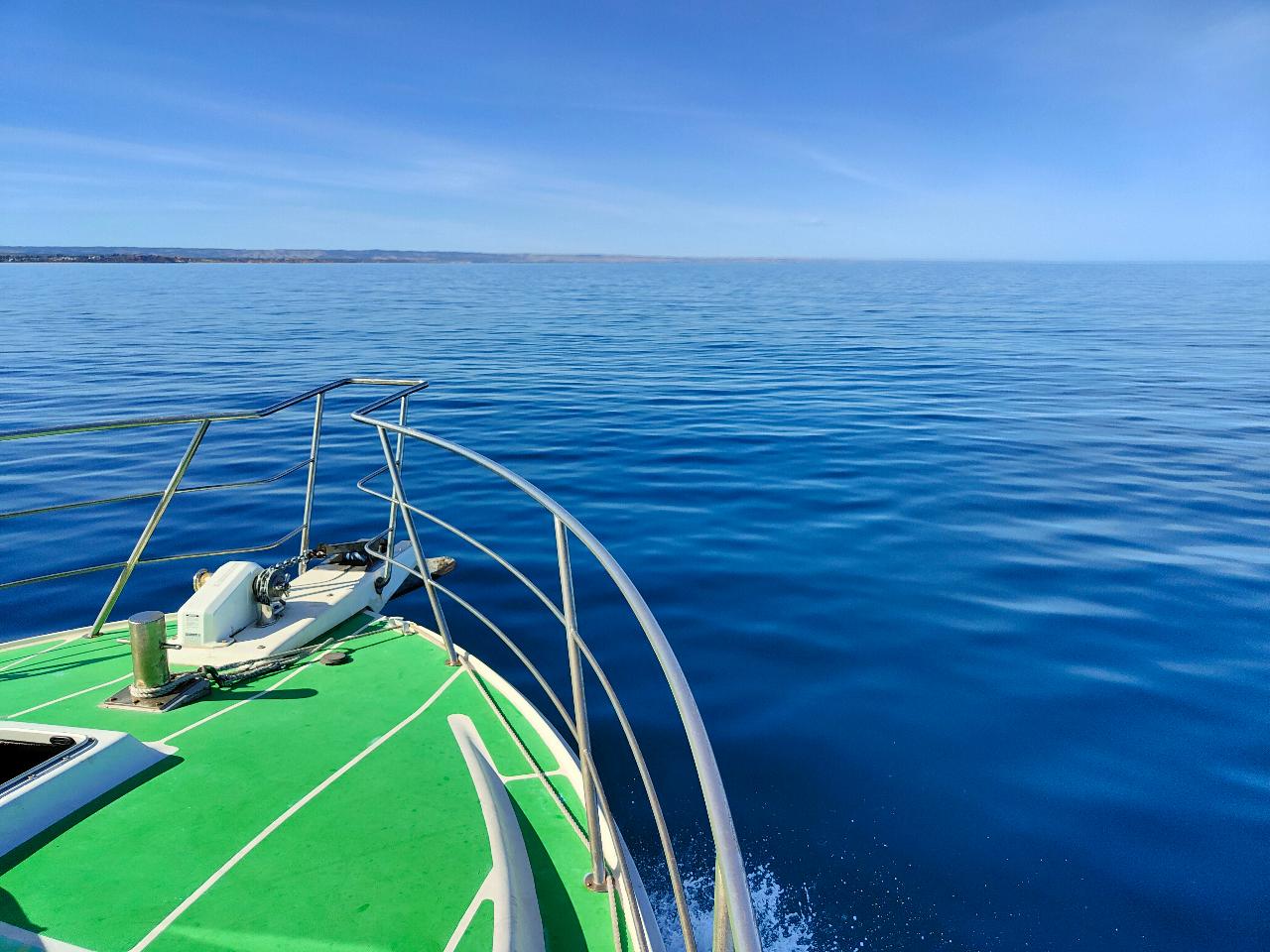 Milkies Reef & Leatherjacket Alley - Double Dive