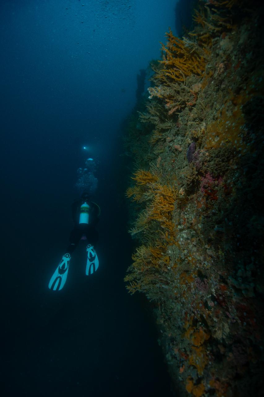 Ex-HMAS HOBART Double Dive (AOW)