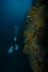 Ex-HMAS HOBART Double Dive (AOW)