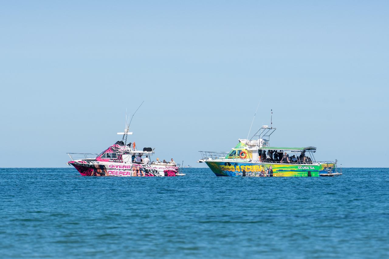 Boat Tour - Single Dive: Dredge