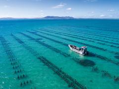 Experience Coffin Bay With Transfer