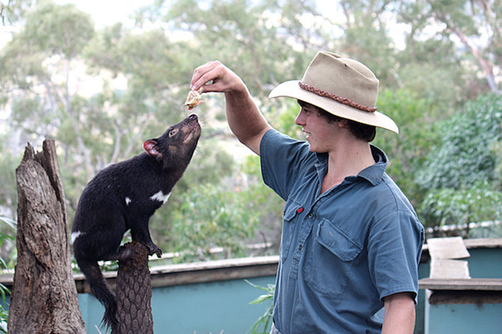 Bonorong wildlovers tour