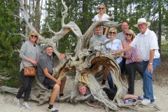 Yellowstone National Park - PRIVATE Full Day Lower Loop Tour from Jackson Hole - (Apr 19-Oct 31)