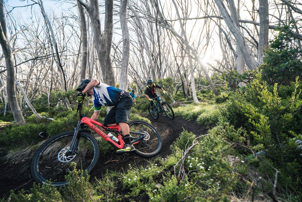 MAX VERT Mt Buller