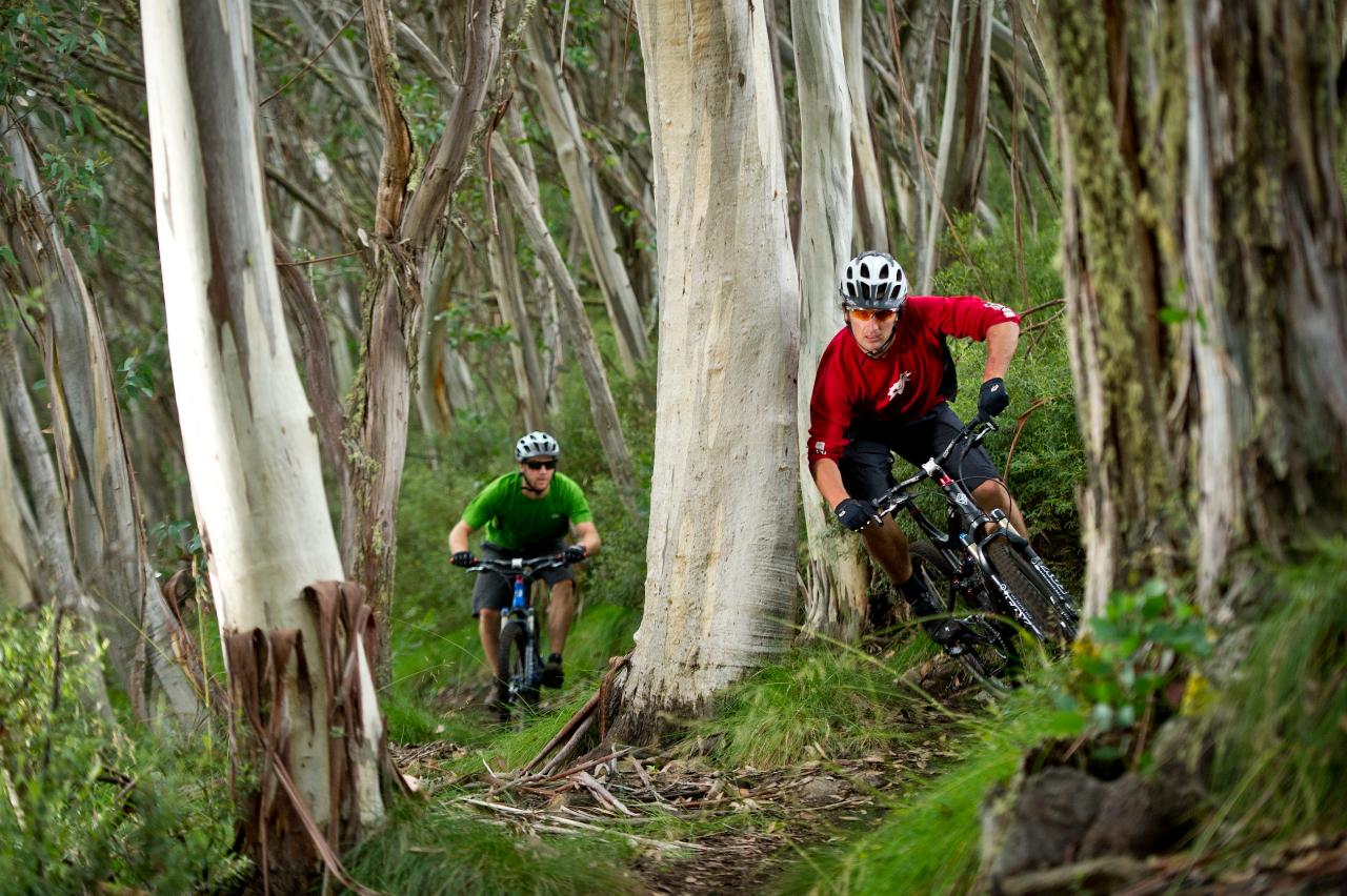 Mt Buller Bike Park Guided Ride