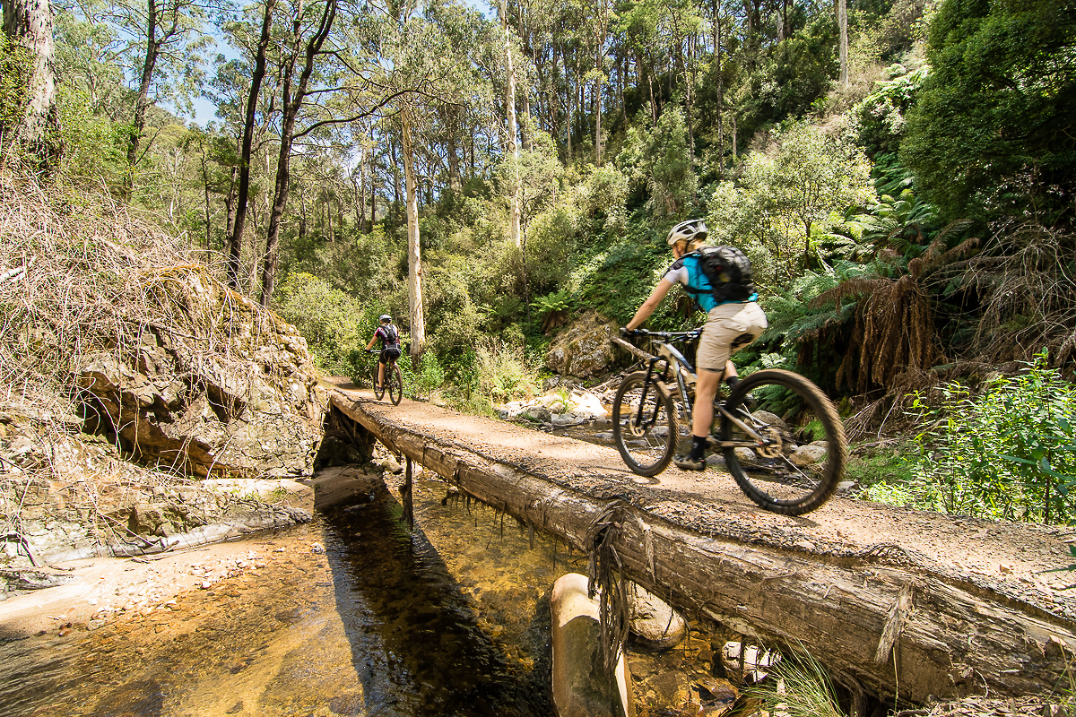 Mt Buller Guided ride of the Delatite River Trail 