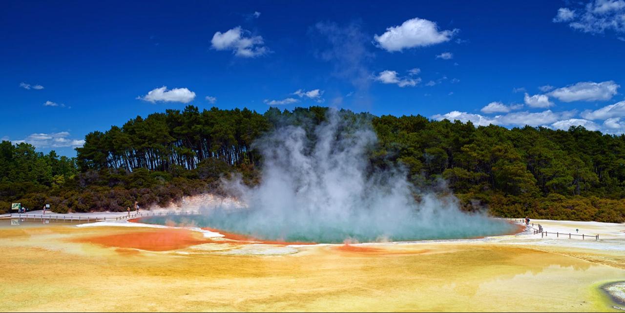 Rotorua Day Tour: Wai-O-Tapu : Lady Knox Geyser : Champagne Lake : Polynesian Spa Resort: Combo
