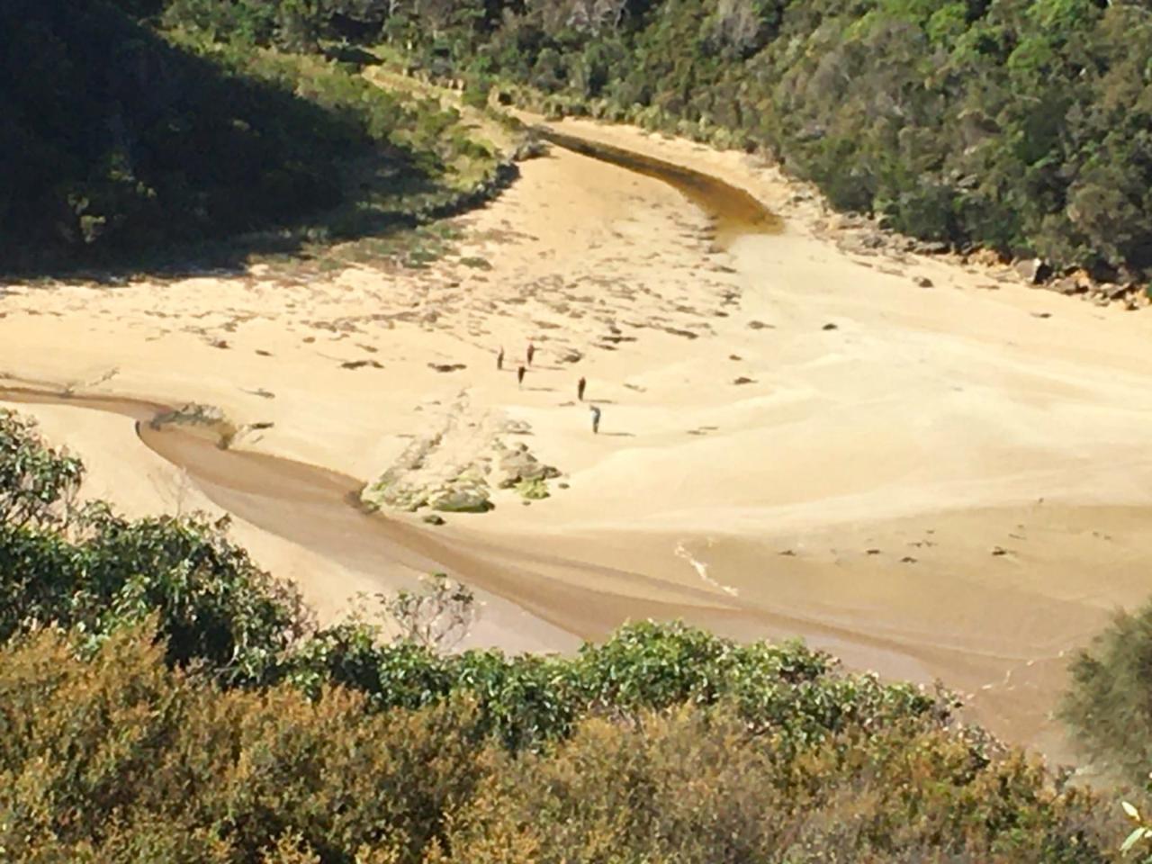 SUN: 2 Day Self-Guided Walk Tour. Apollo Bay to Parker Hill (Approx 27.5km) Departs Sunday 2PM