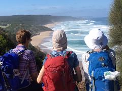 SUN: 6 Day Self-Guided Walk Tour. Apollo Bay to 12 Apostles (Approx 104km) Departs Sunday 2PM