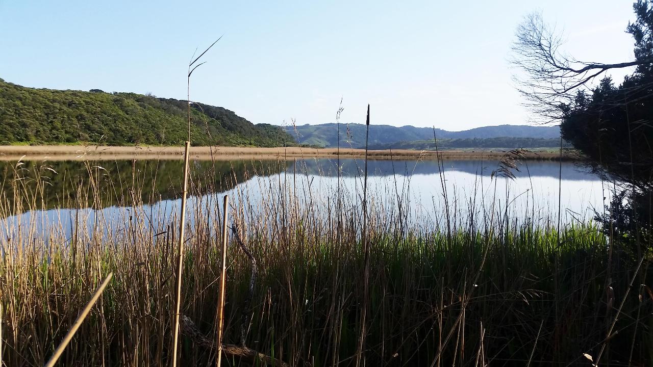 SUN: 3 Day Self-Guided Walk Tour. Apollo Bay to Aire River (Approx 43.5km) Departs Sunday 2PM