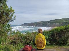 MON: 5 Day Self-Guided Walk Tour. Shelly Beach to 12 Apostles (Approx 95.5km) Departs Monday 8AM