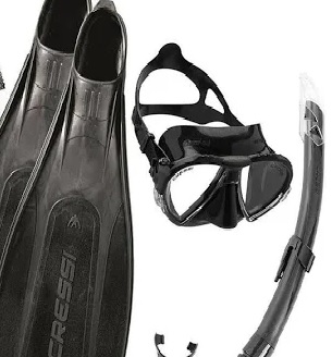 Fins, mask and snorkel
