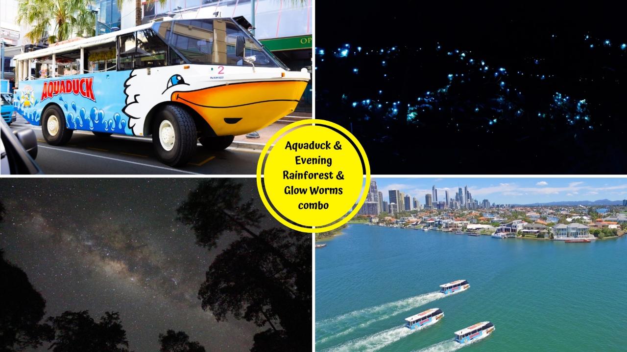 Aquaduck + Evening Rainforest & Glow Worms Tour Combo
