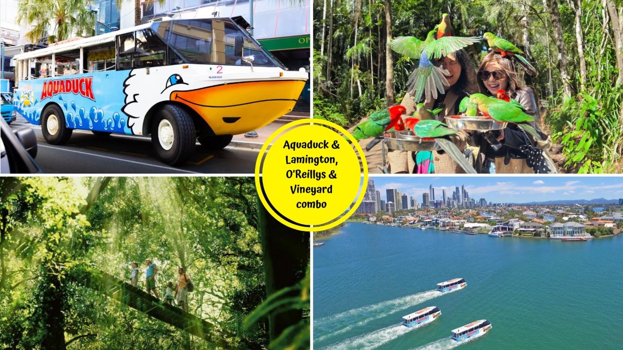Aquaduck + Lamington National Park, O'Reillys & Vineyard Tour Combo