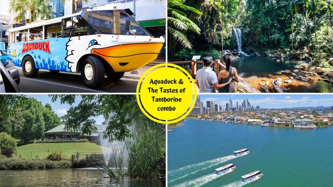 Aquaduck + Tastes of Tamborine Mountain Tour Combo