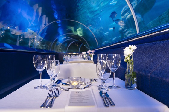 Dine Beneath the Sea September