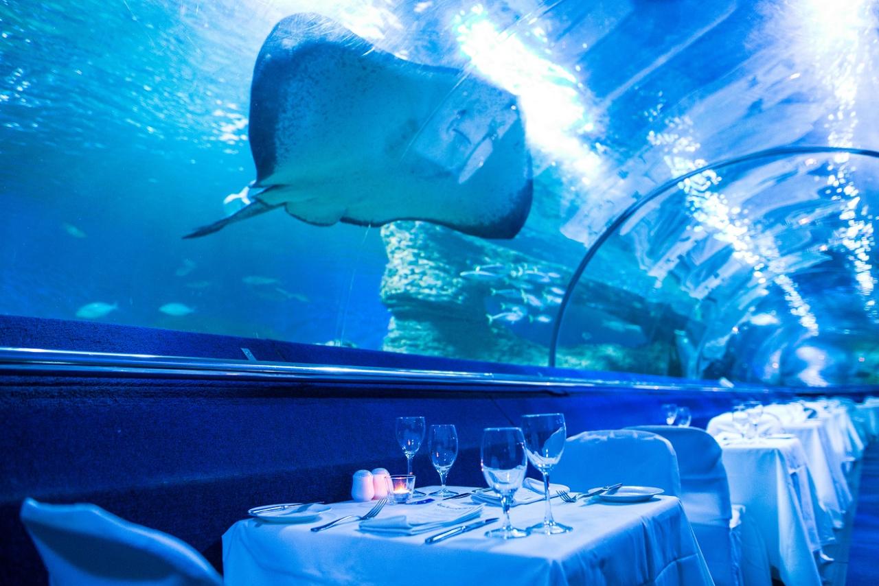 Valentine's Day Dine Beneath the Sea