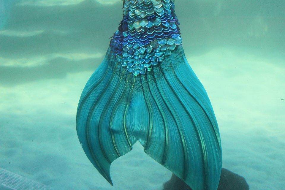 ARCHIVE - Treasure Island and the Lost Mermaid Kingdom - MERMAID and