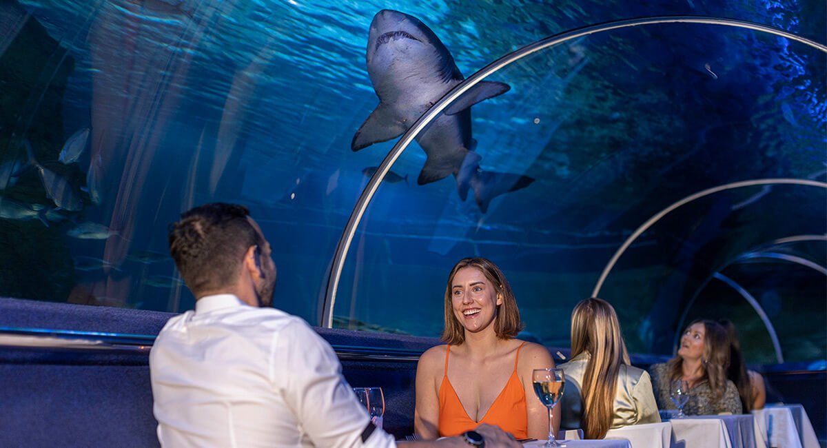 Dine Beneath the Sea