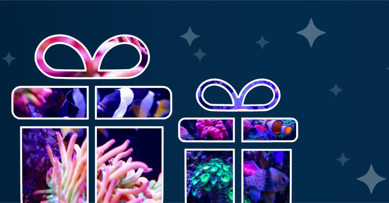 Dine Beneath the Sea eGift Voucher