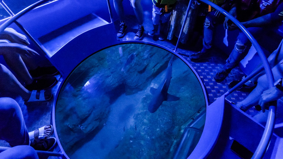 Entry & Glass Bottom Boat Ticket (Age 4+) AQWA The Aquarium of Western Australia Reservations