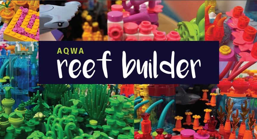 ARCHIVE - Excursion Package - Reef Builder