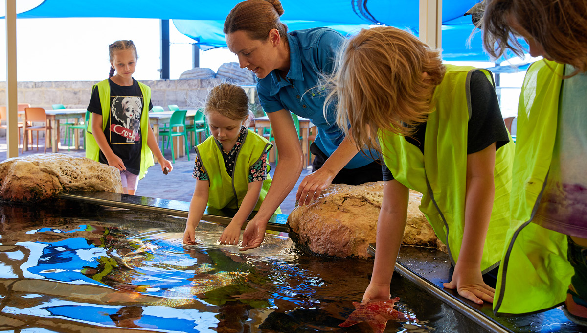 Group Excursions: Vacation Care & OSHC