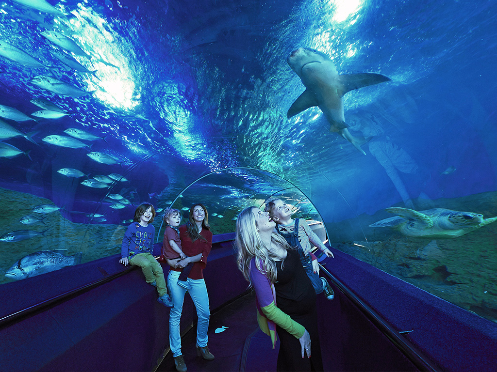 10 Largest Aquariums In The World - BD10a2f99c5c4cf29b69f5bf876a15581024x768 Family ToDDlers SWC Lg