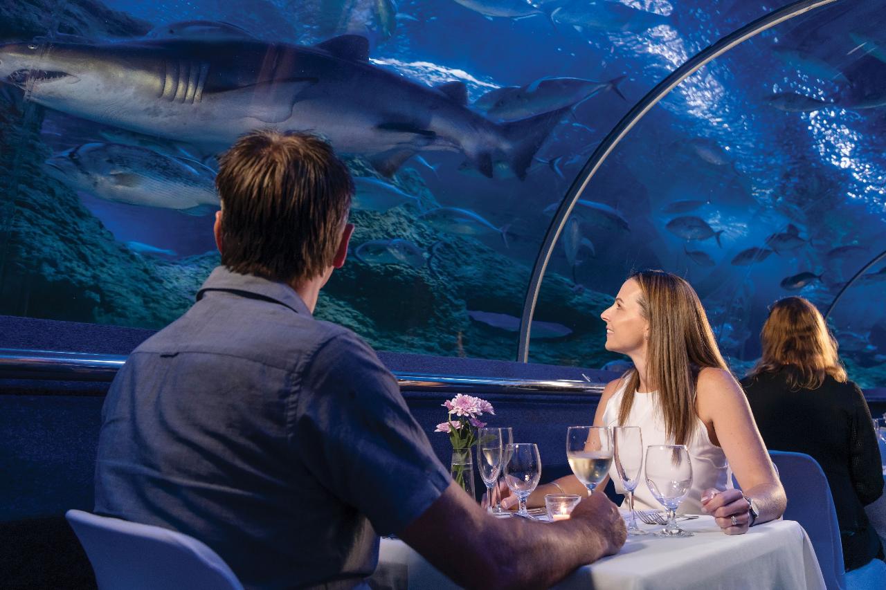 Exclusive Dine Beneath the Sea