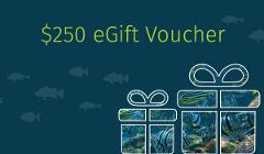 $250 AQWA eGift Voucher