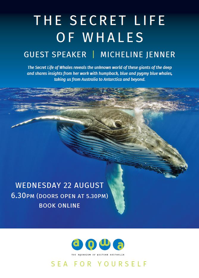 The Secret Life of Whales -Guest Speaker