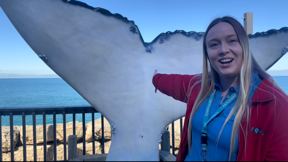 Eco Teen: Whale Safari (12-16)